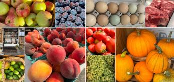 fresh farm food woodland wa